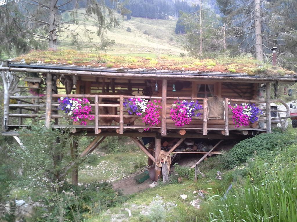 Апартаменты Biobergbauernhof Brandenau Таксенбах Экстерьер фото